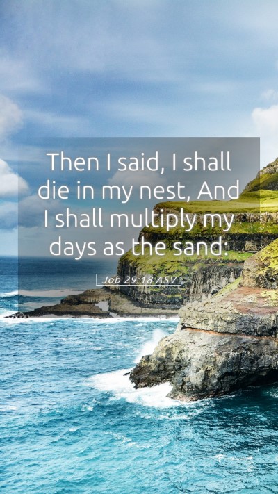 Picture 05 - Job 29:18 ASV Mobile Phone Wallpaper - Then I said, I shall die in my nest, And I shall - Mobile Bible Verse Wallpaper