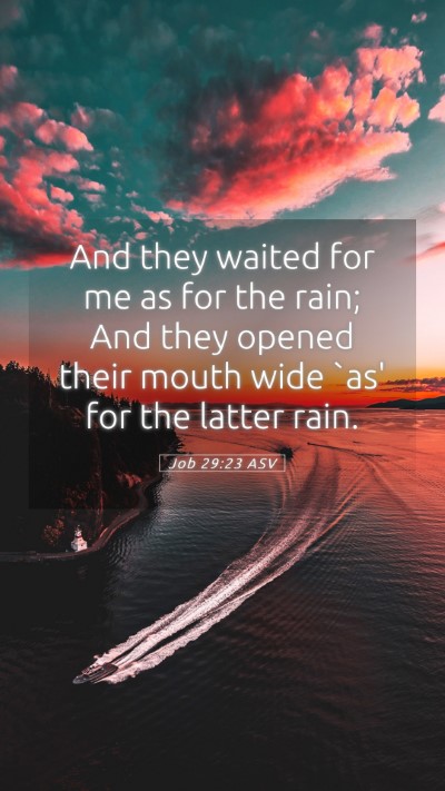Picture 05 - Job 29:23 ASV Mobile Phone Wallpaper - And they waited for me as for the rain; And they - Mobile Bible Verse Wallpaper