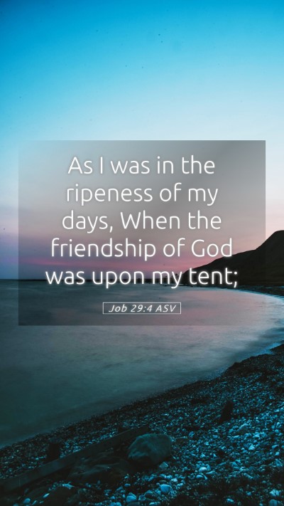 Picture 05 - Job 29:4 ASV Mobile Phone Wallpaper - As I was in the ripeness of my days, When the - Mobile Bible Verse Wallpaper