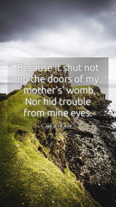 Picture 05 - Job 3:10 ASV Mobile Phone Wallpaper - Because it shut not up the doors of my `mother's' - Mobile Bible Verse Wallpaper