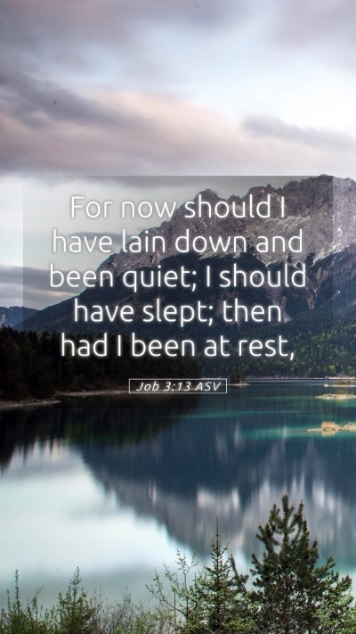 Picture 05 - Job 3:13 ASV Mobile Phone Wallpaper - For now should I have lain down and been quiet; I - Mobile Bible Verse Wallpaper