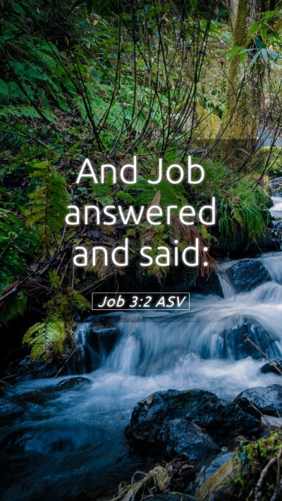 Picture 05 - Job 3:2 ASV Mobile Phone Wallpaper - And Job answered and - Mobile Bible Verse Wallpaper