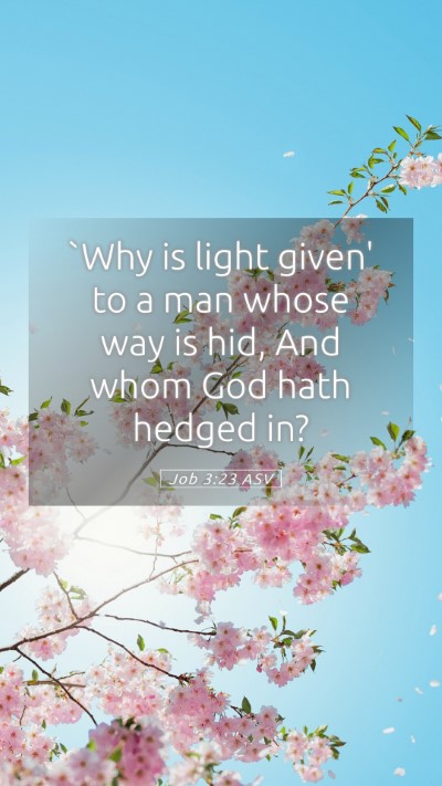 Picture 05 - Job 3:23 ASV Mobile Phone Wallpaper - `Why is light given' to a man whose way is hid, - Mobile Bible Verse Wallpaper