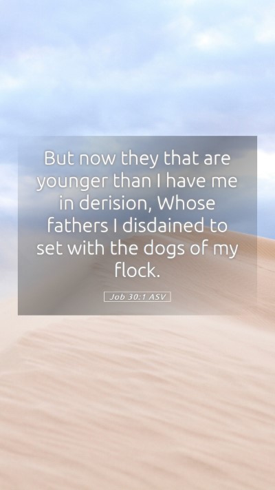 Picture 05 - Job 30:1 ASV Mobile Phone Wallpaper - But now they that are younger than I have me in - Mobile Bible Verse Wallpaper