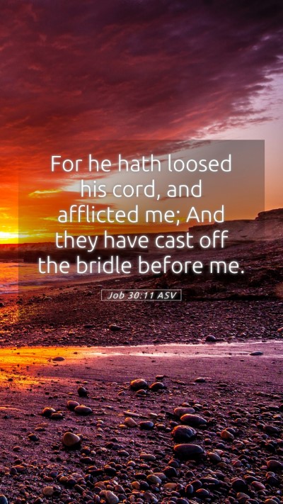 Picture 05 - Job 30:11 ASV Mobile Phone Wallpaper - For he hath loosed his cord, and afflicted me; - Mobile Bible Verse Wallpaper
