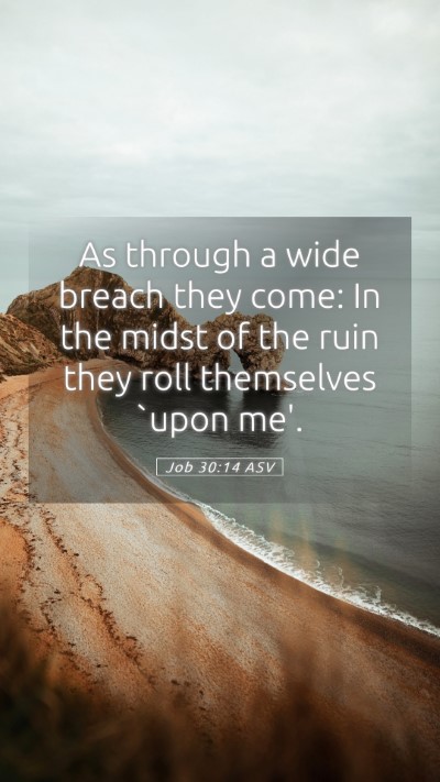 Picture 05 - Job 30:14 ASV Mobile Phone Wallpaper - As through a wide breach they come: In the midst - Mobile Bible Verse Wallpaper