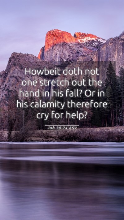 Picture 05 - Job 30:24 ASV Mobile Phone Wallpaper - Howbeit doth not one stretch out the hand in his - Mobile Bible Verse Wallpaper