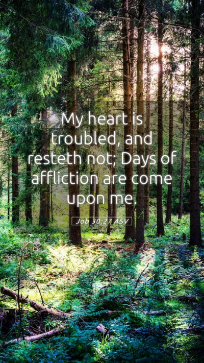 Picture 05 - Job 30:27 ASV Mobile Phone Wallpaper - My heart is troubled, and resteth not; Days of - Mobile Bible Verse Wallpaper