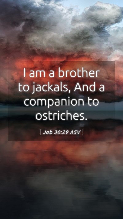 Picture 05 - Job 30:29 ASV Mobile Phone Wallpaper - I am a brother to jackals, And a companion to - Mobile Bible Verse Wallpaper