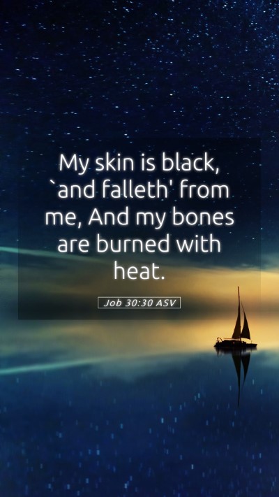 Picture 05 - Job 30:30 ASV Mobile Phone Wallpaper - My skin is black, `and falleth' from me, And my - Mobile Bible Verse Wallpaper
