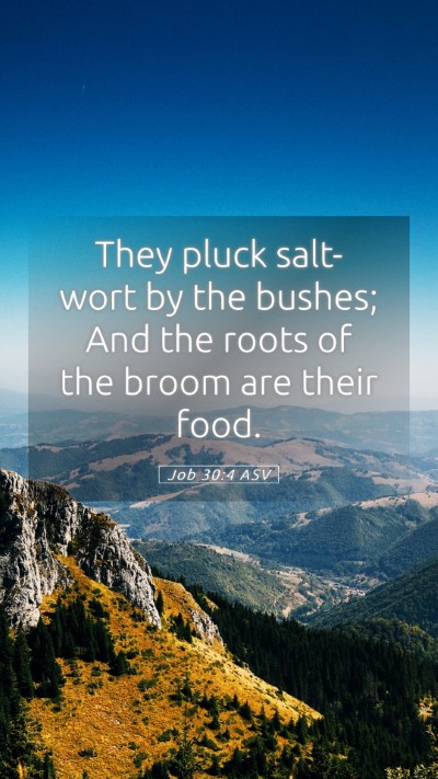 Picture 05 - Job 30:4 ASV Mobile Phone Wallpaper - They pluck salt-wort by the bushes; And the roots - Mobile Bible Verse Wallpaper