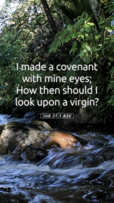 Picture 05 - Job 31:1 ASV Mobile Phone Wallpaper - I made a covenant with mine eyes; How then should - Mobile Bible Verse Wallpaper