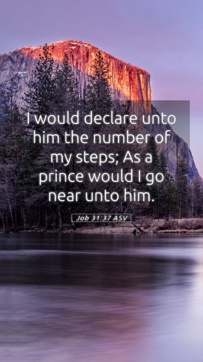 Picture 05 - Job 31:37 ASV Mobile Phone Wallpaper - I would declare unto him the number of my steps; - Mobile Bible Verse Wallpaper