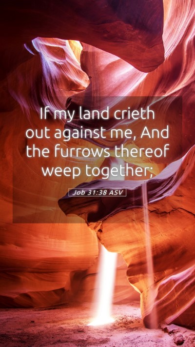 Picture 05 - Job 31:38 ASV Mobile Phone Wallpaper - If my land crieth out against me, And the furrows - Mobile Bible Verse Wallpaper