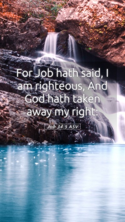 Picture 05 - Job 34:5 ASV Mobile Phone Wallpaper - For Job hath said, I am righteous, And God hath - Mobile Bible Verse Wallpaper