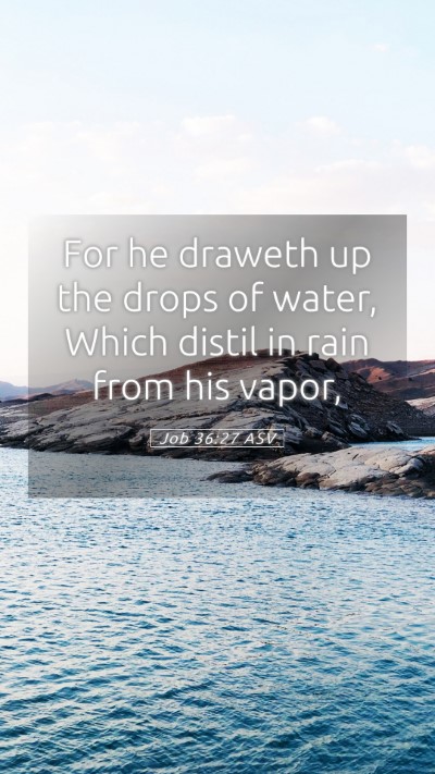 Picture 05 - Job 36:27 ASV Mobile Phone Wallpaper - For he draweth up the drops of water, Which - Mobile Bible Verse Wallpaper