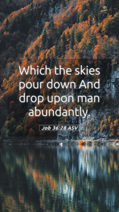 Picture 05 - Job 36:28 ASV Mobile Phone Wallpaper - Which the skies pour down And drop upon man - Mobile Bible Verse Wallpaper