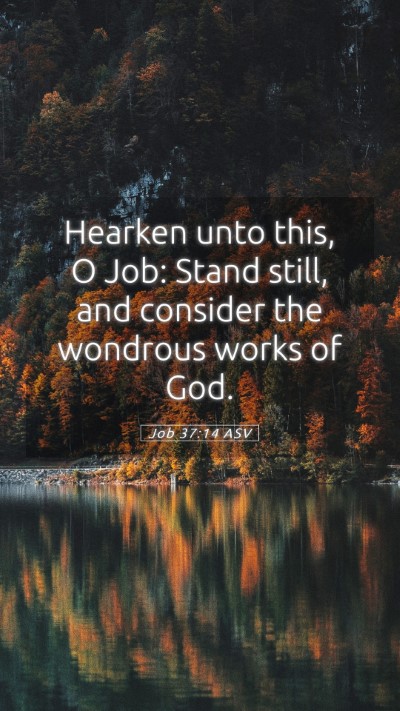 Picture 05 - Job 37:14 ASV Mobile Phone Wallpaper - Hearken unto this, O Job: Stand still, and - Mobile Bible Verse Wallpaper