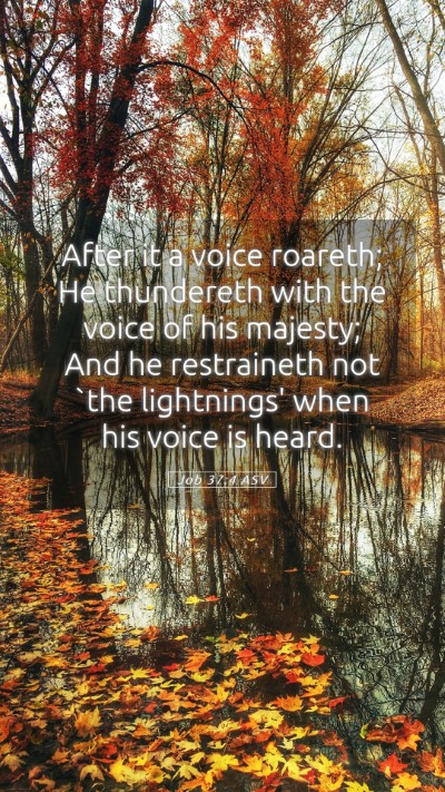 Picture 05 - Job 37:4 ASV Mobile Phone Wallpaper - After it a voice roareth; He thundereth with the - Mobile Bible Verse Wallpaper