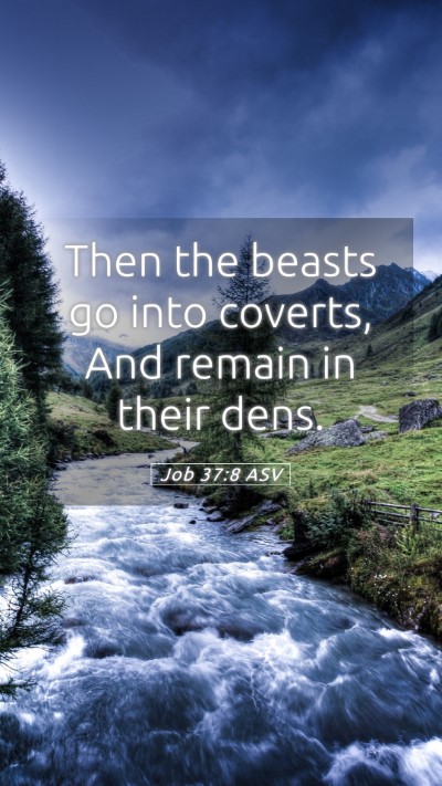 Picture 05 - Job 37:8 ASV Mobile Phone Wallpaper - Then the beasts go into coverts, And remain in - Mobile Bible Verse Wallpaper