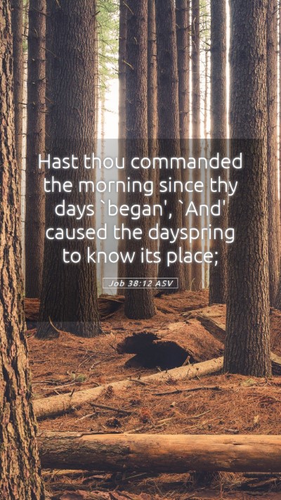 Picture 05 - Job 38:12 ASV Mobile Phone Wallpaper - Hast thou commanded the morning since thy days - Mobile Bible Verse Wallpaper