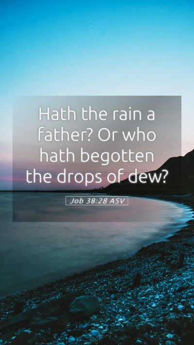 Picture 05 - Job 38:28 ASV Mobile Phone Wallpaper - Hath the rain a father? Or who hath begotten the - Mobile Bible Verse Wallpaper