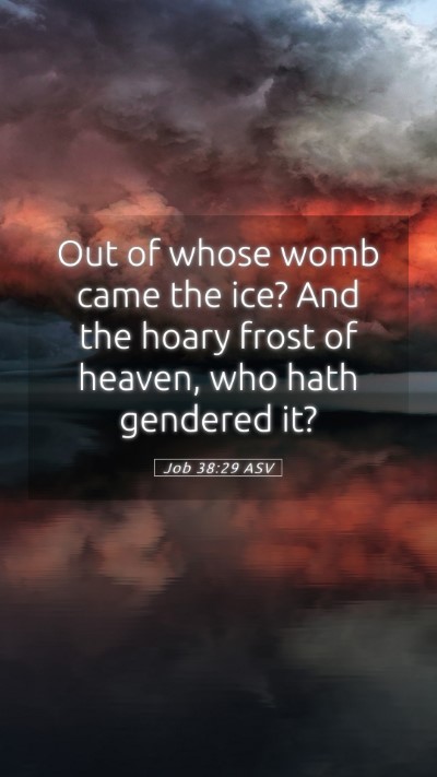 Picture 05 - Job 38:29 ASV Mobile Phone Wallpaper - Out of whose womb came the ice? And the hoary - Mobile Bible Verse Wallpaper