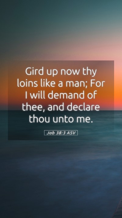 Picture 05 - Job 38:3 ASV Mobile Phone Wallpaper - Gird up now thy loins like a man; For I will - Mobile Bible Verse Wallpaper