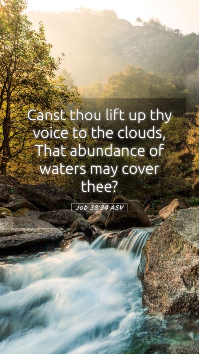 Picture 05 - Job 38:34 ASV Mobile Phone Wallpaper - Canst thou lift up thy voice to the clouds, That - Mobile Bible Verse Wallpaper
