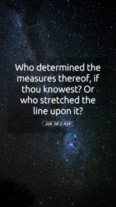 Picture 05 - Job 38:5 ASV Mobile Phone Wallpaper - Who determined the measures thereof, if thou - Mobile Bible Verse Wallpaper