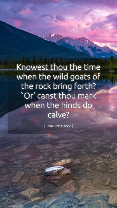 Picture 05 - Job 39:1 ASV Mobile Phone Wallpaper - Knowest thou the time when the wild goats of the - Mobile Bible Verse Wallpaper