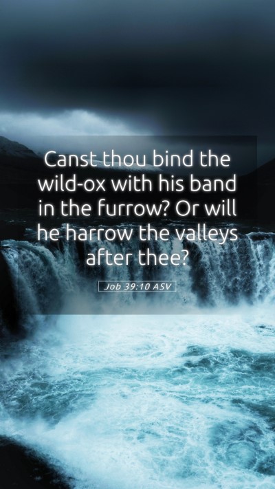 Picture 05 - Job 39:10 ASV Mobile Phone Wallpaper - Canst thou bind the wild-ox with his band in the - Mobile Bible Verse Wallpaper