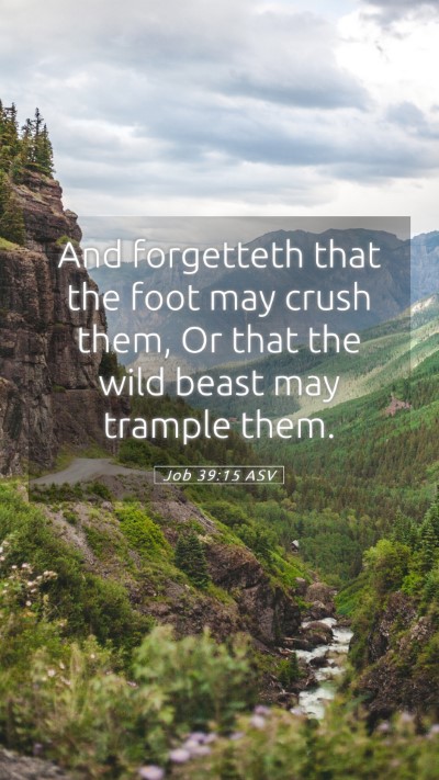 Picture 05 - Job 39:15 ASV Mobile Phone Wallpaper - And forgetteth that the foot may crush them, Or - Mobile Bible Verse Wallpaper