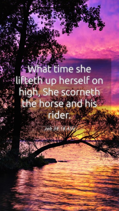 Picture 05 - Job 39:18 ASV Mobile Phone Wallpaper - What time she lifteth up herself on high, She - Mobile Bible Verse Wallpaper