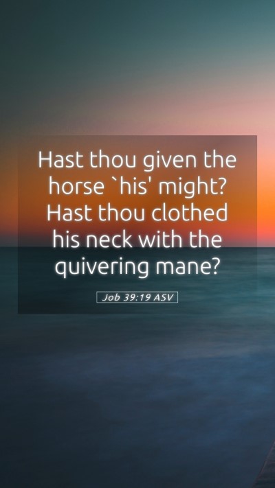 Picture 05 - Job 39:19 ASV Mobile Phone Wallpaper - Hast thou given the horse `his' might? Hast thou - Mobile Bible Verse Wallpaper