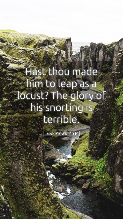 Picture 05 - Job 39:20 ASV Mobile Phone Wallpaper - Hast thou made him to leap as a locust? The glory - Mobile Bible Verse Wallpaper
