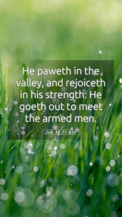 Picture 05 - Job 39:21 ASV Mobile Phone Wallpaper - He paweth in the valley, and rejoiceth in his - Mobile Bible Verse Wallpaper