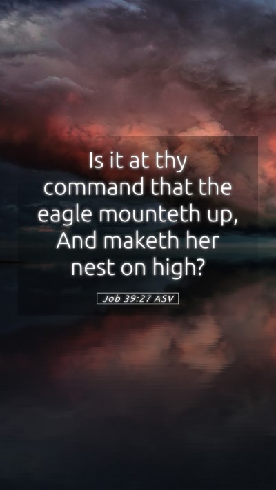 Picture 05 - Job 39:27 ASV Mobile Phone Wallpaper - Is it at thy command that the eagle mounteth up, - Mobile Bible Verse Wallpaper