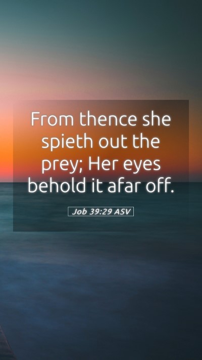 Picture 05 - Job 39:29 ASV Mobile Phone Wallpaper - From thence she spieth out the prey; Her eyes - Mobile Bible Verse Wallpaper