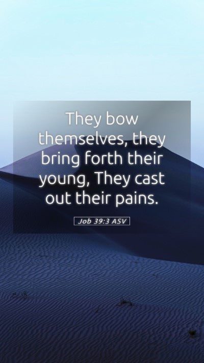 Picture 05 - Job 39:3 ASV Mobile Phone Wallpaper - They bow themselves, they bring forth their - Mobile Bible Verse Wallpaper