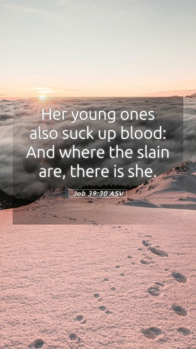 Picture 05 - Job 39:30 ASV Mobile Phone Wallpaper - Her young ones also suck up blood: And where the - Mobile Bible Verse Wallpaper