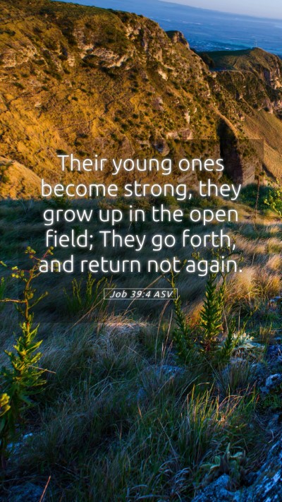 Picture 05 - Job 39:4 ASV Mobile Phone Wallpaper - Their young ones become strong, they grow up in - Mobile Bible Verse Wallpaper