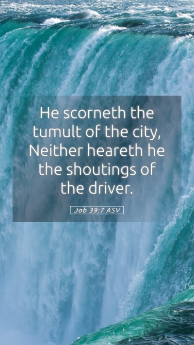 Picture 05 - Job 39:7 ASV Mobile Phone Wallpaper - He scorneth the tumult of the city, Neither - Mobile Bible Verse Wallpaper