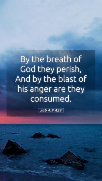 Picture 05 - Job 4:9 ASV Mobile Phone Wallpaper - By the breath of God they perish, And by the - Mobile Bible Verse Wallpaper