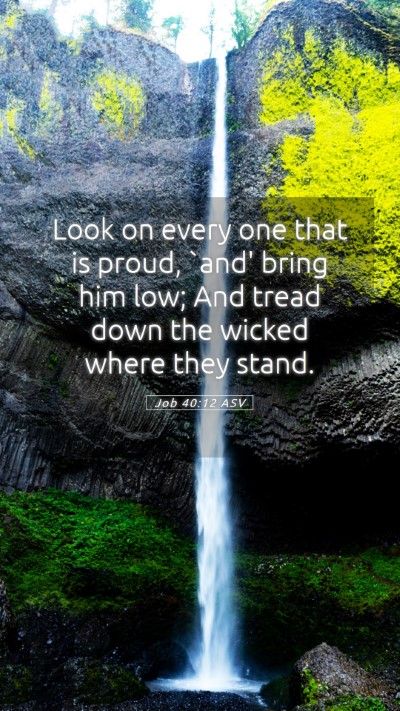 Picture 05 - Job 40:12 ASV Mobile Phone Wallpaper - Look on every one that is proud, `and' bring him - Mobile Bible Verse Wallpaper
