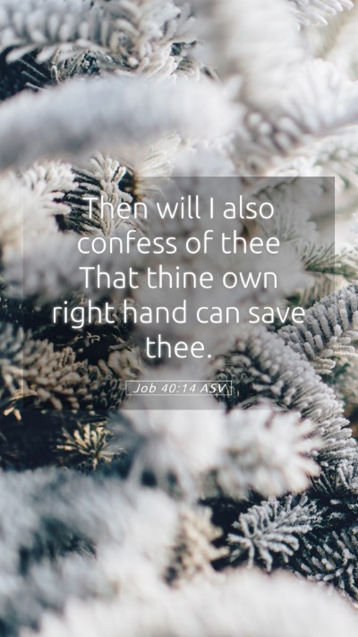 Picture 05 - Job 40:14 ASV Mobile Phone Wallpaper - Then will I also confess of thee That thine own - Mobile Bible Verse Wallpaper