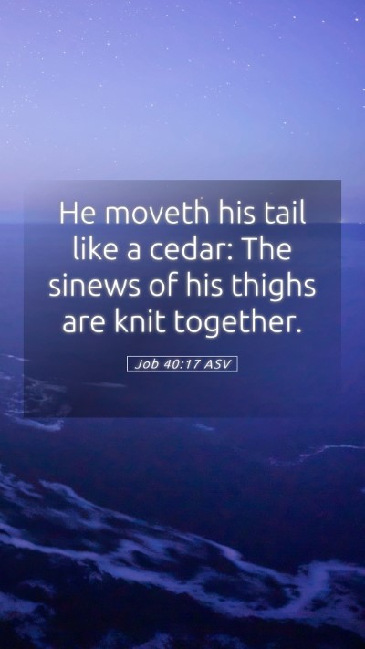 Picture 05 - Job 40:17 ASV Mobile Phone Wallpaper - He moveth his tail like a cedar: The sinews of - Mobile Bible Verse Wallpaper