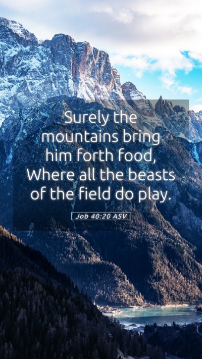 Picture 05 - Job 40:20 ASV Mobile Phone Wallpaper - Surely the mountains bring him forth food, Where - Mobile Bible Verse Wallpaper