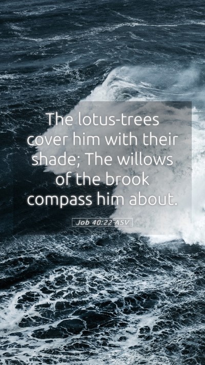 Picture 05 - Job 40:22 ASV Mobile Phone Wallpaper - The lotus-trees cover him with their shade; The - Mobile Bible Verse Wallpaper