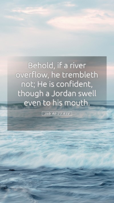 Picture 05 - Job 40:23 ASV Mobile Phone Wallpaper - Behold, if a river overflow, he trembleth not; He - Mobile Bible Verse Wallpaper